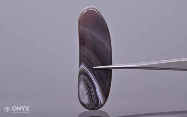 Botswana Agate convex flat irregular 48.5×16 mm