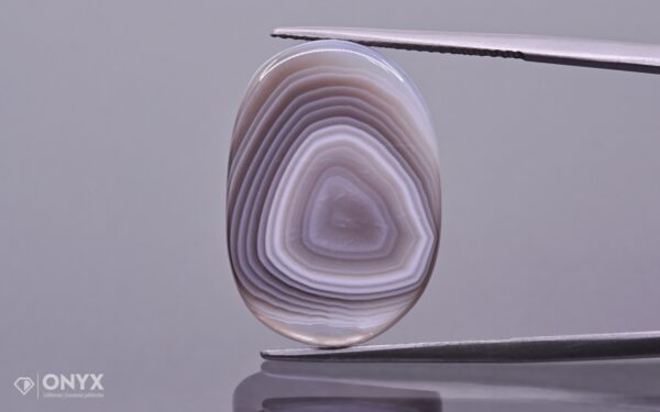 Botswana Agate convex flat irregular 23×16 mm