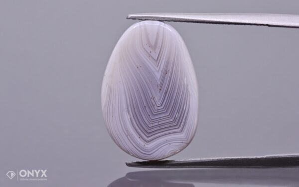 Botswana Agate convex flat irregular 19×13.2 mm